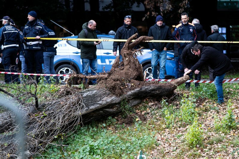 Crolla albero al parco, muore una 45enne