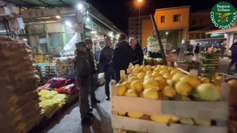 Palermo, al setaccio mercato ortofrutticolo Palermo, al setaccio mercato ortofrutticolo