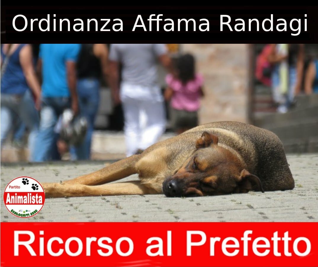 Castelbuono