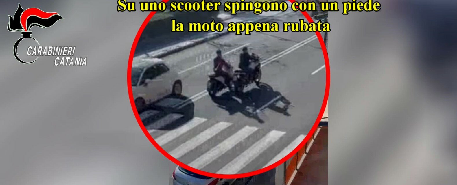 Furti d'auto col cavallo di ritorno organizzati nella stalla di Picanello