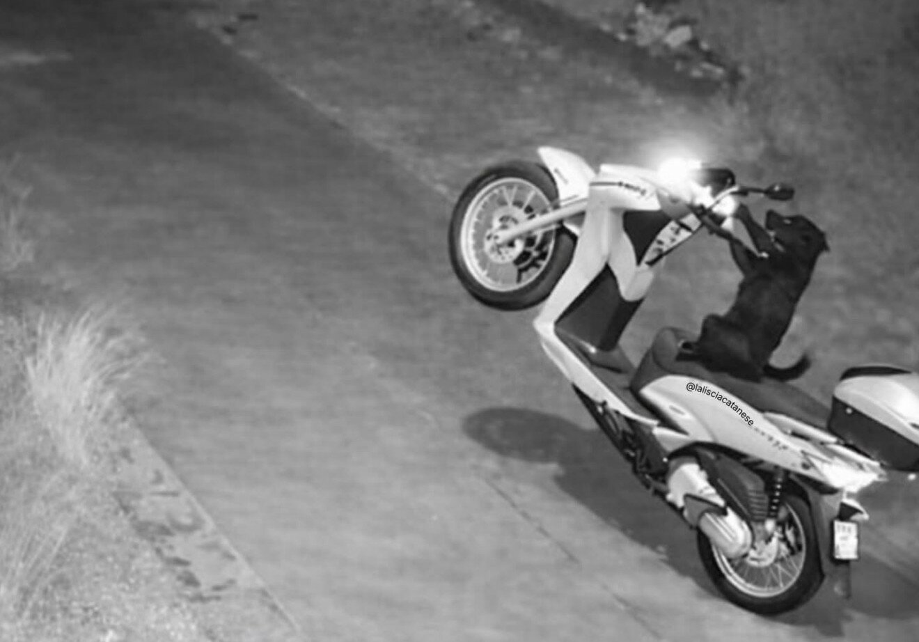 La 'liscìa' catanese corre sui social La 'liscìa' catanese corre sui social