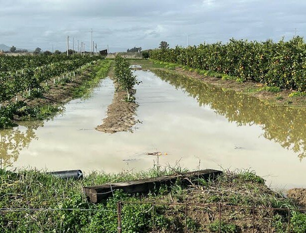 screenshot-2026-01-22-091441.jpeg screenshot-2026-01-22-091441.jpeg