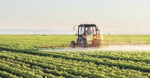 Pnrr: bocciati progetti per l'agricoltura, &egrave; polemica