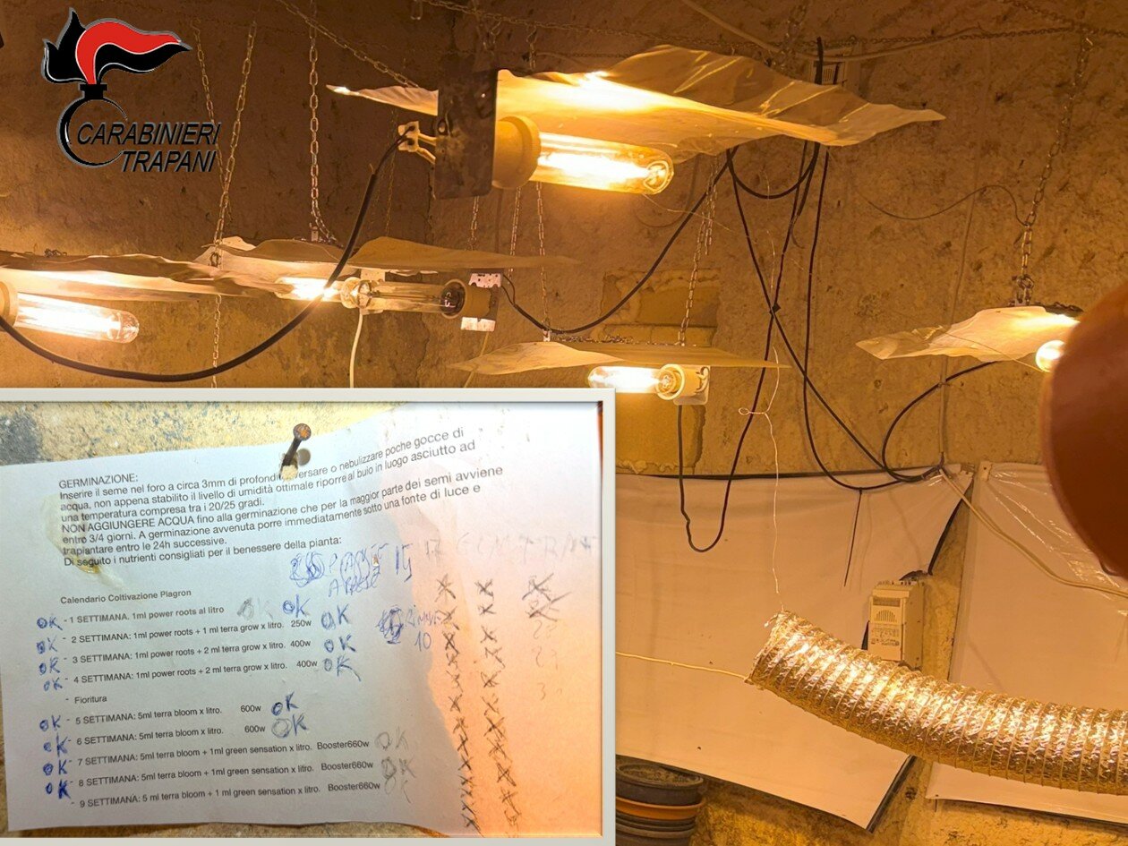 Fratelli terribili: testata all'anziana e colpo di pistola