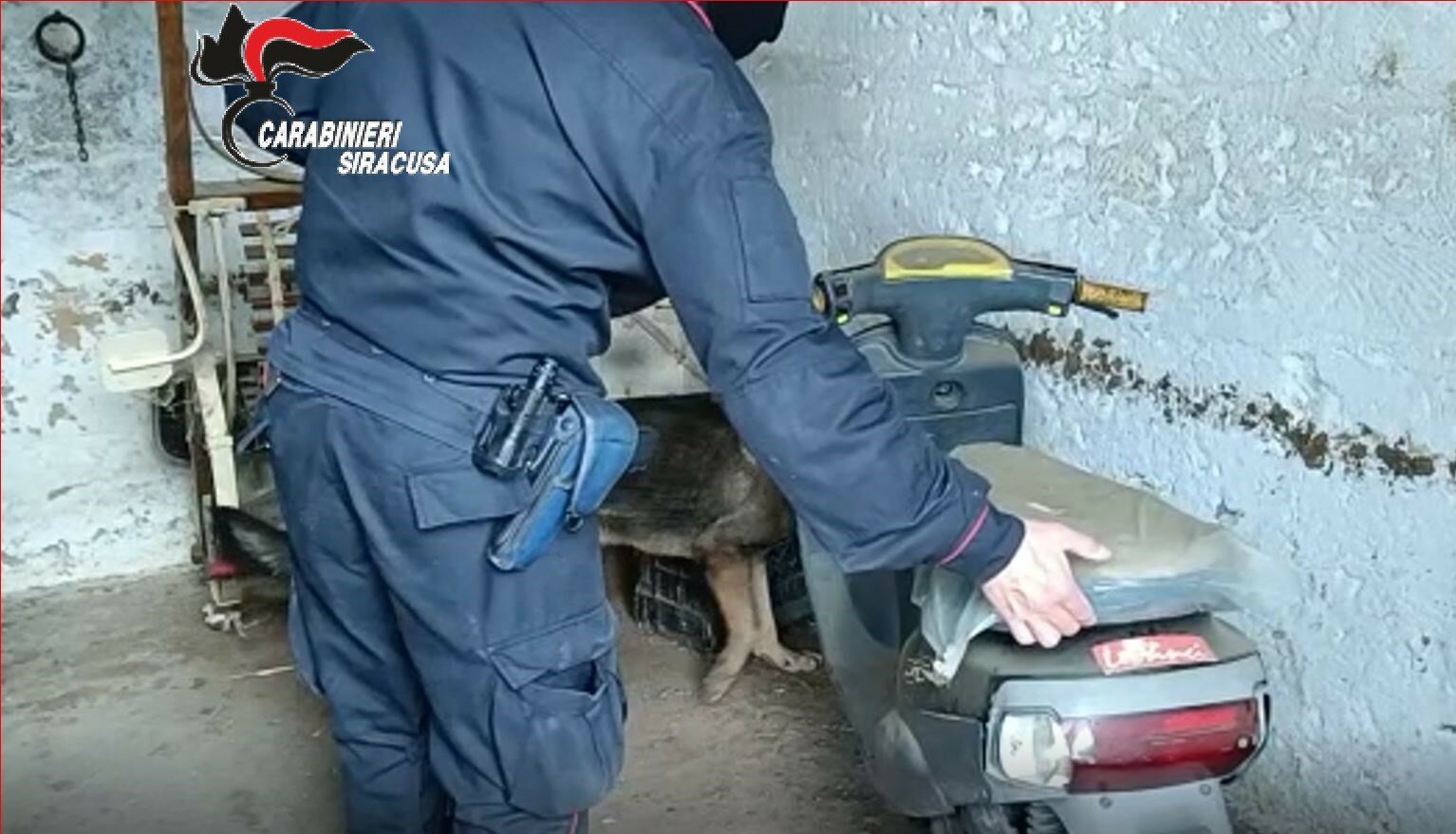 Aveva reddito di cittadinanza e deteneva armi e droga