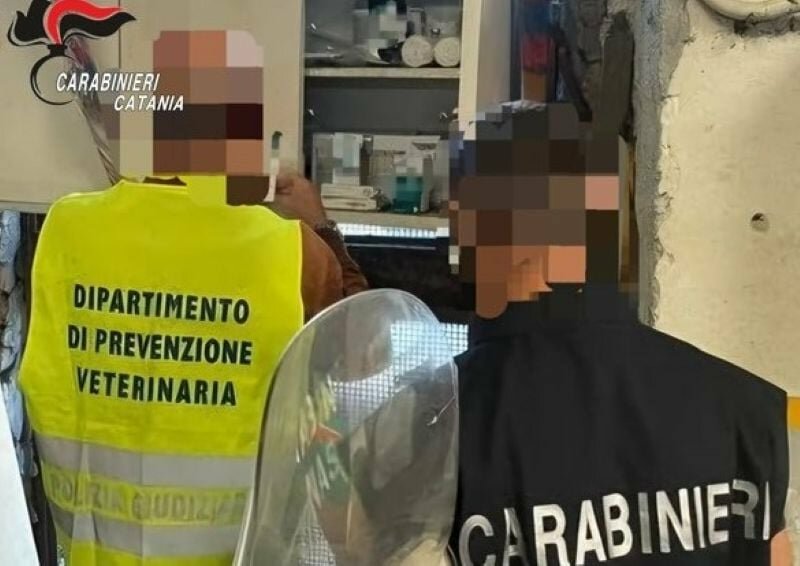 Stalla abusiva e cavalli dopati con farmaci scaduti