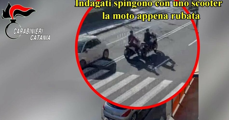 Cavallo di ritorno con la 'regola dei tre giorni': altri 8 indagati a Catania