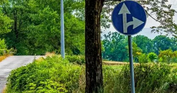 I segnali stradali nel giardino di casa