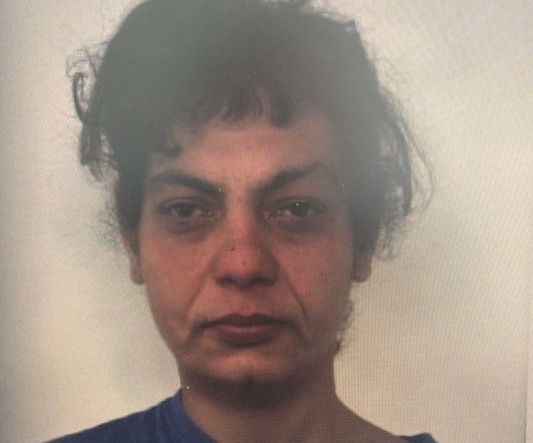 Elisabeta forse è stata sbranata dai cani Elisabeta forse è stata sbranata dai cani