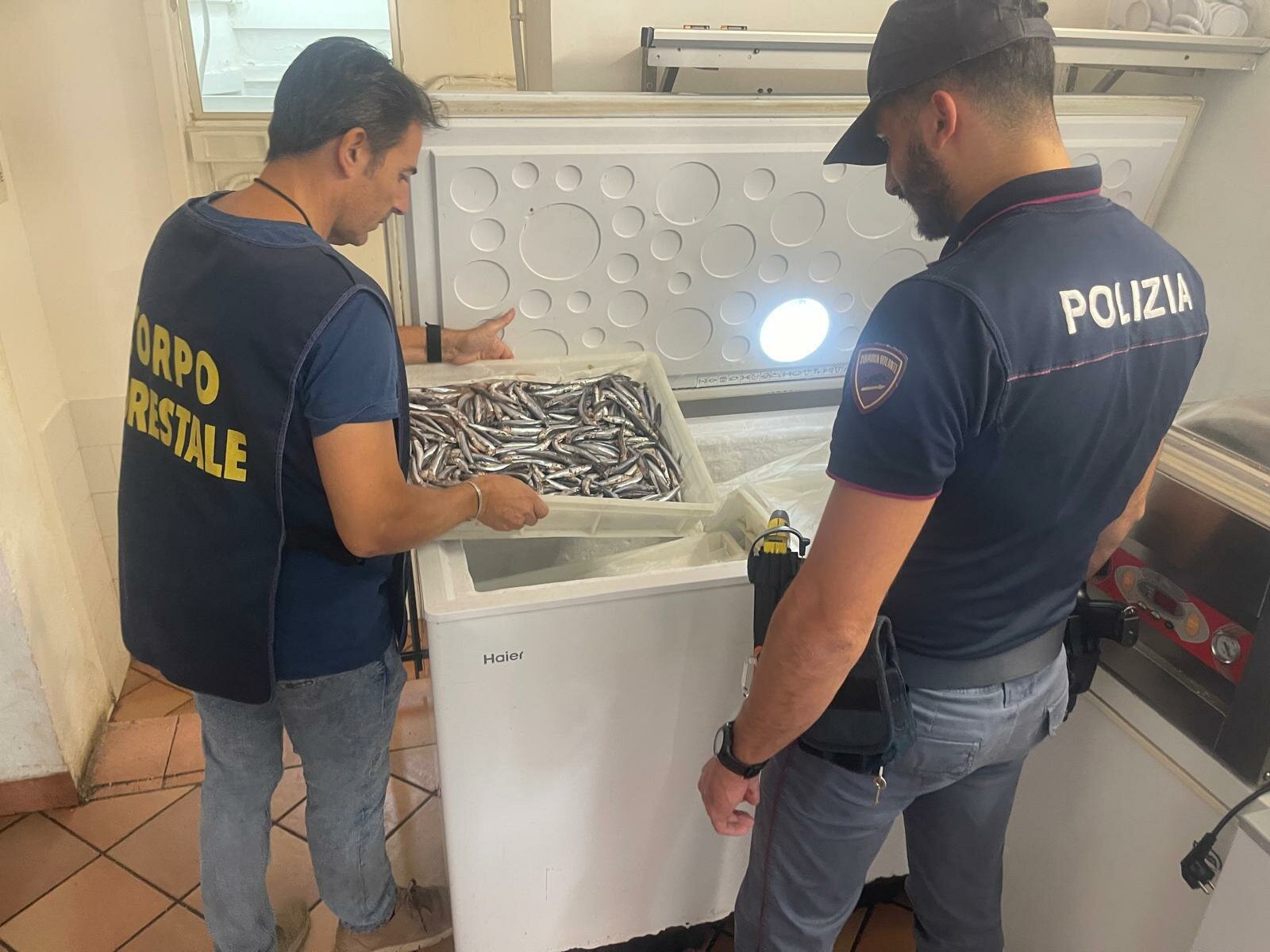 Blatte in mezzo al cibo nel ristorante di Aci Trezza