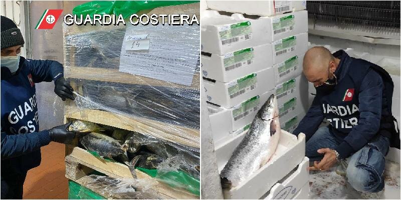 Sequestrate oltre 7 tonnellate di pesce