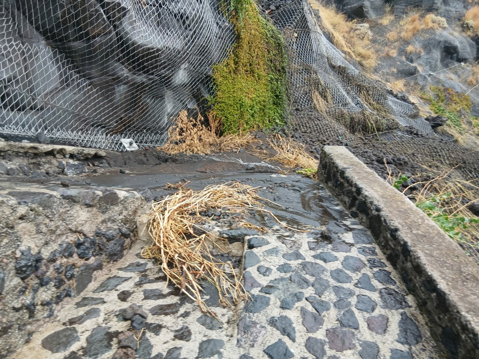 img-20260703-wa0019.jpeg