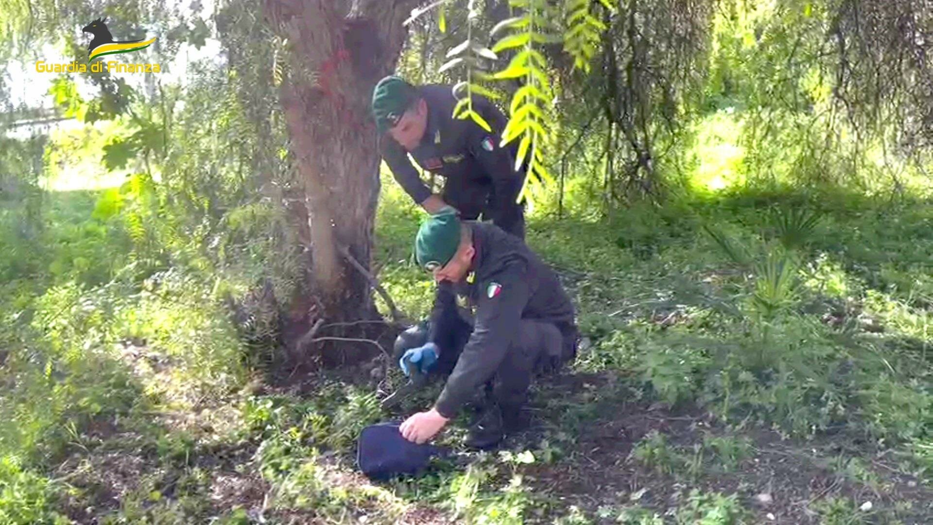 Lancia marsupio tra gli alberi per disfarsi di pistola