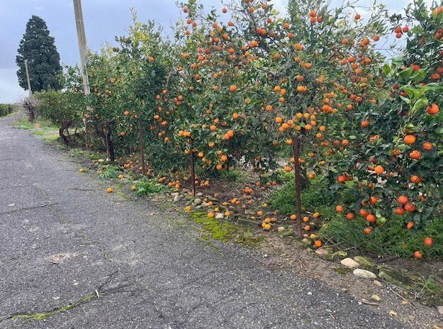 screenshot-2026-01-22-091330.jpeg screenshot-2026-01-22-091330.jpeg