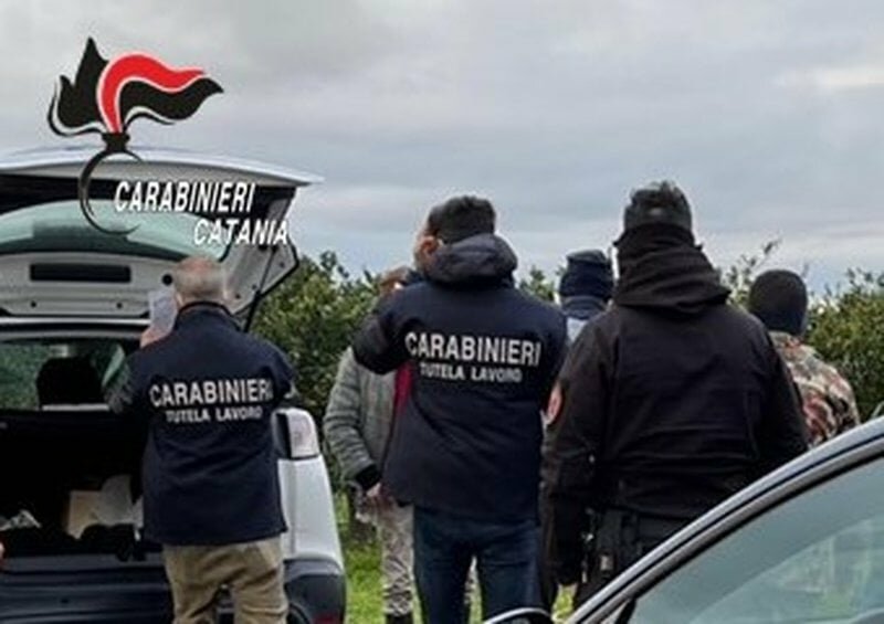 Solo 90 centesimi per ogni cassetta di agrumi raccolta