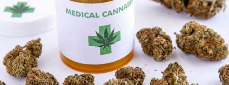 Via ai bandi per coltivazione cannabis terapeutica