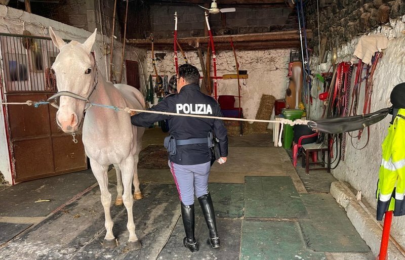 A San Cristoforo cavalli dopati e malnutriti