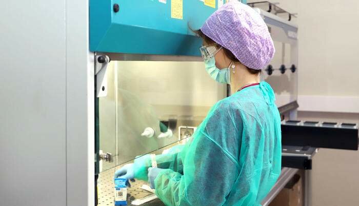 Vaiolo scimmie, si rafforza la sorveglianza