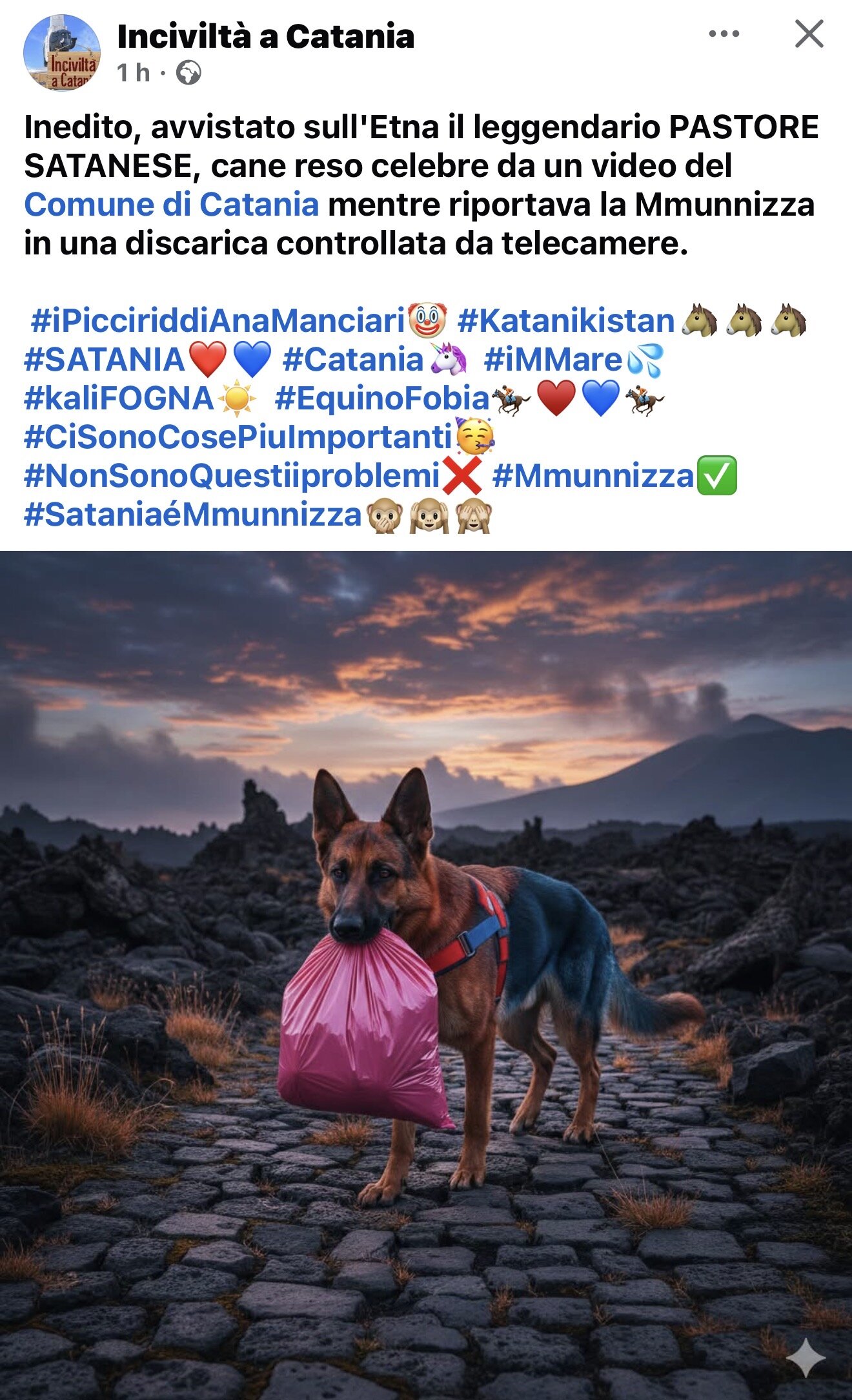 img_8760.jpeg img_8760.jpeg