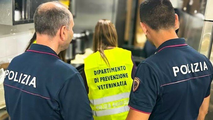 Al lungomare di Catania in vendita il pesce-truffa