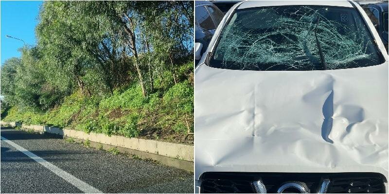 A18, albero si schianta su un'auto