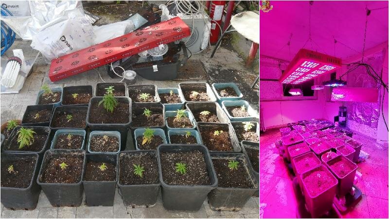 Riprende possesso della casa e trova serra cannabis