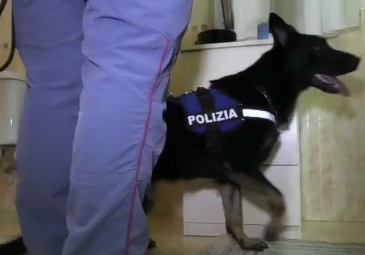 Operazione antidroga in tre province siciliane: 15 arresti