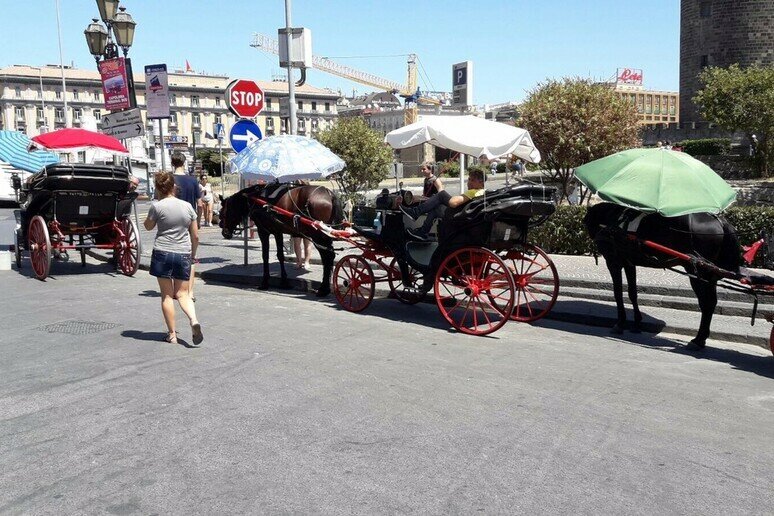 Basta carrozze trainate dai cavalli, ok ai veicoli elettrici