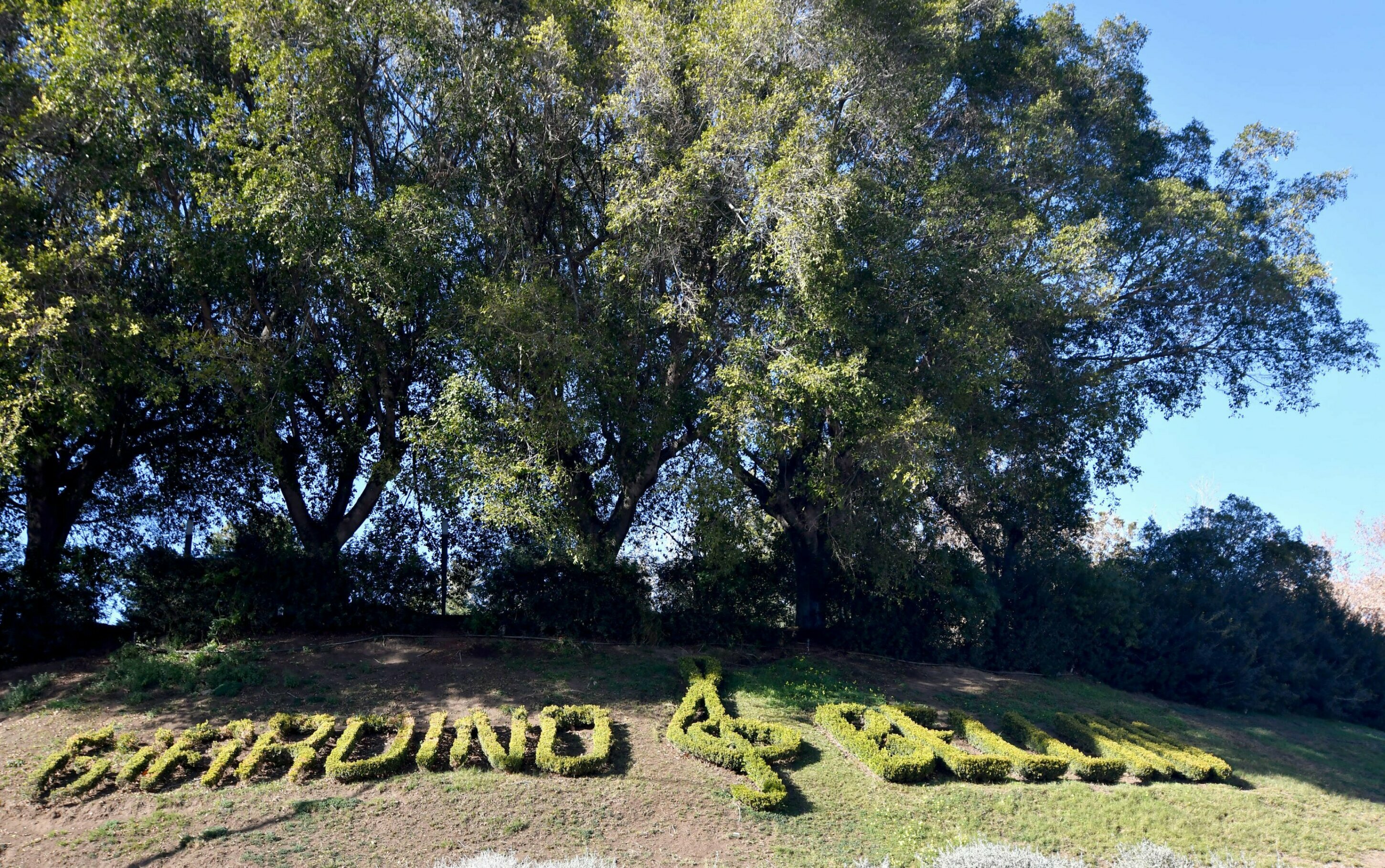 Villa Bellini piazza di spaccio