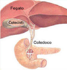 calcoli.png