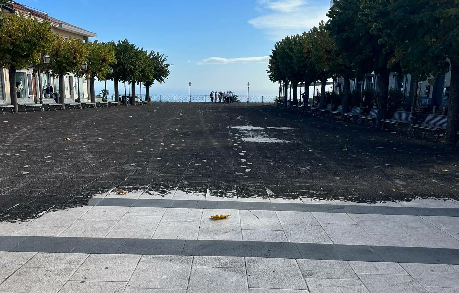 "Bisogna convivere con l'emergenza cenere"