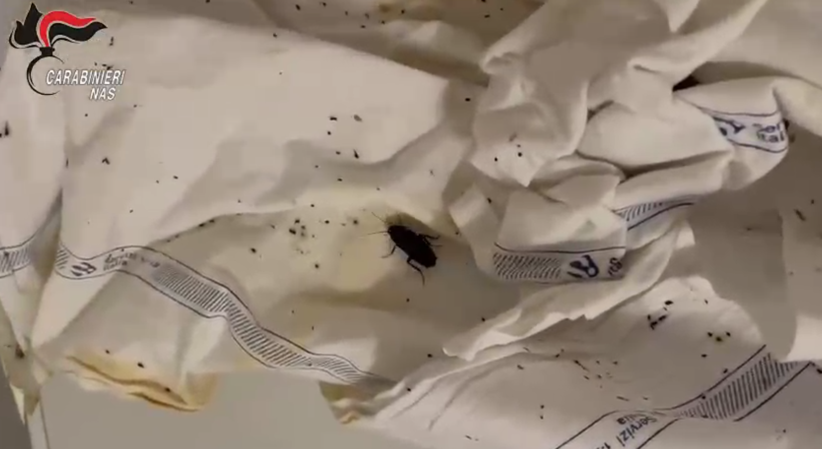 Escrementi e blatte nelle cucine degli ospedali