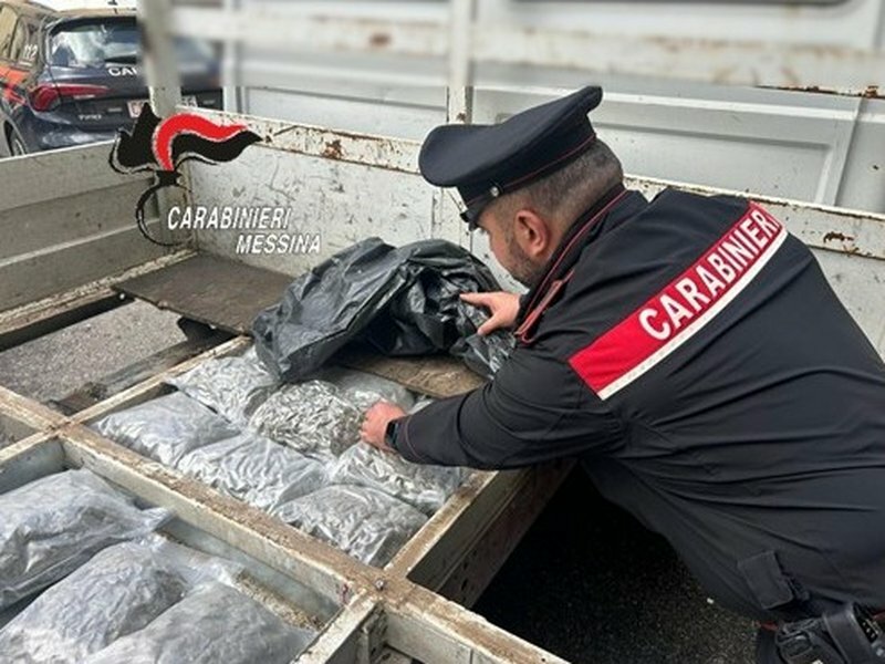 Sbarca a Messina con 10 kg di marijuana nel furgone Sbarca a Messina con 10 kg di marijuana nel furgone