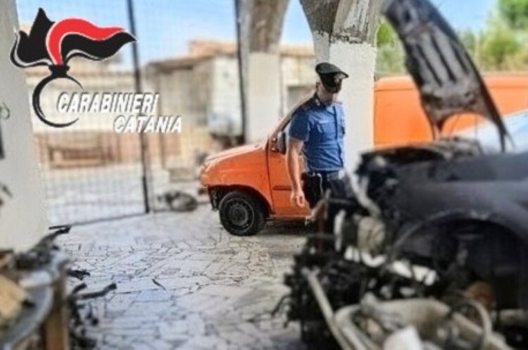 Belpasso: cavallo nascosto in carrozzeria abusiva