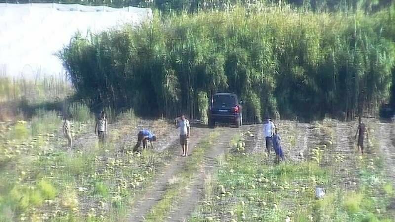 Sfruttamento e caporalato: 16 indagati