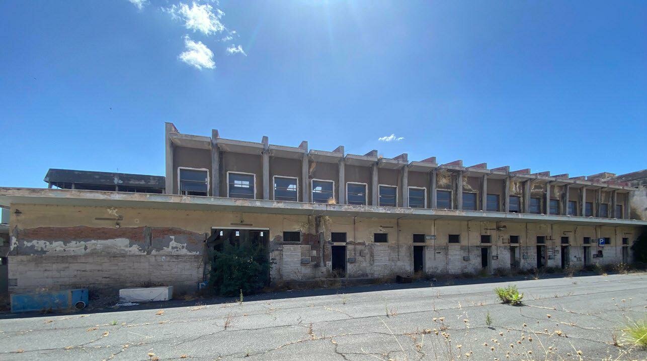 img141.jpeg img141.jpeg