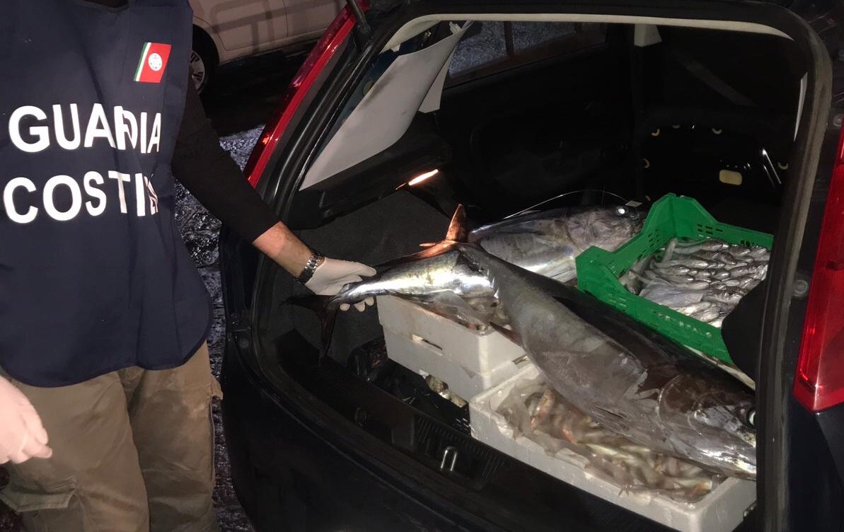 Pescato non a norma, pioggia di sanzioni