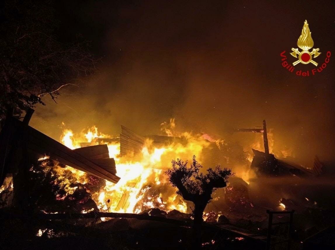 Incendio nella notte in un fienile: in pericolo animali e vegetazione