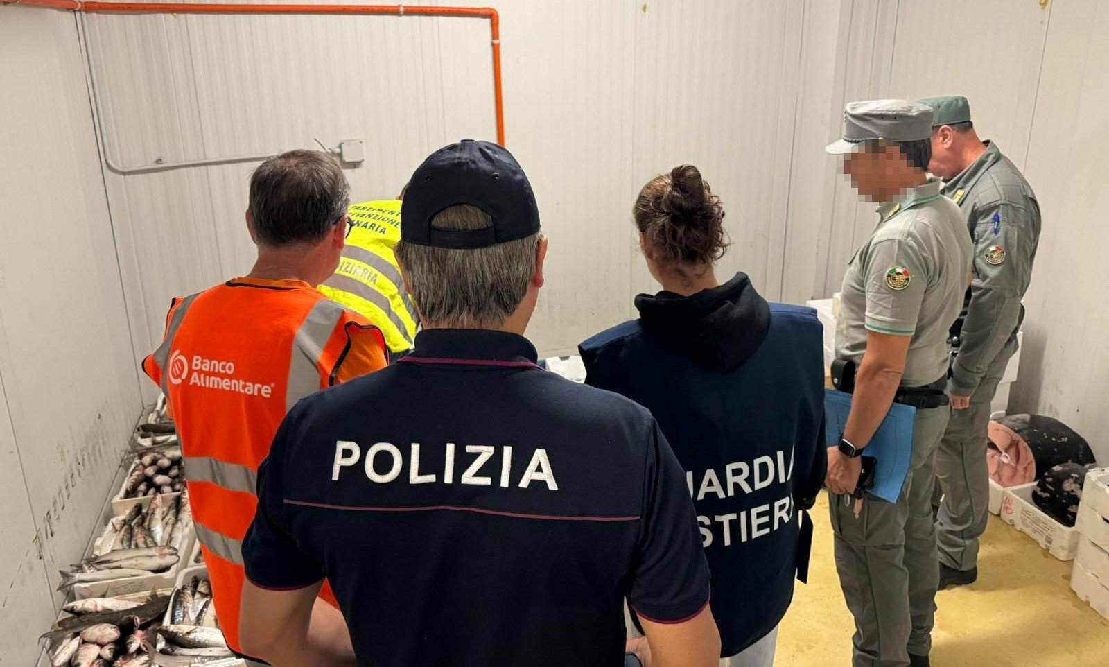 Maxi sequestro di pesce al Maas