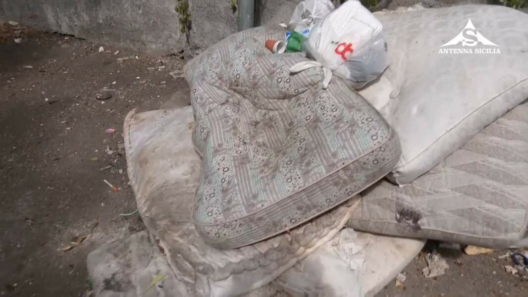 A Catania un nuovo predatore