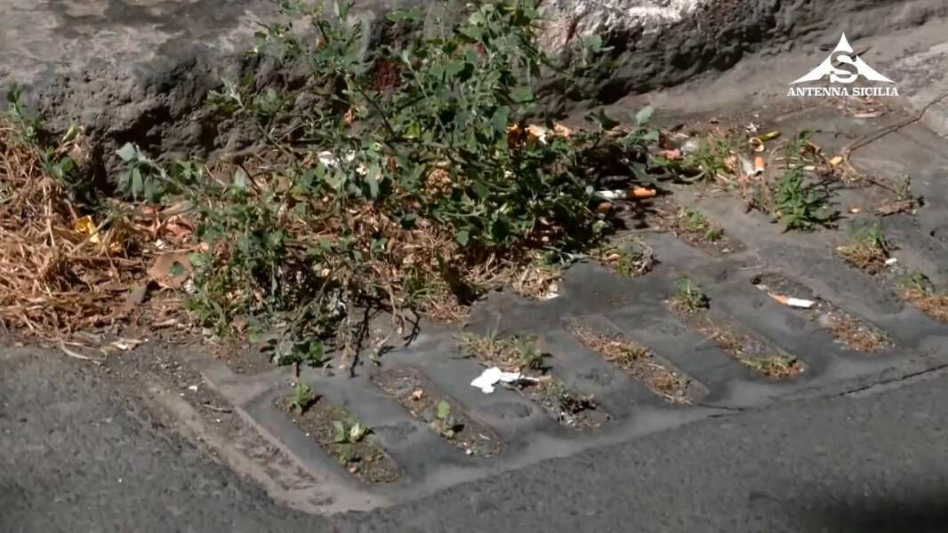 Catania si riempie di 'fioriere'