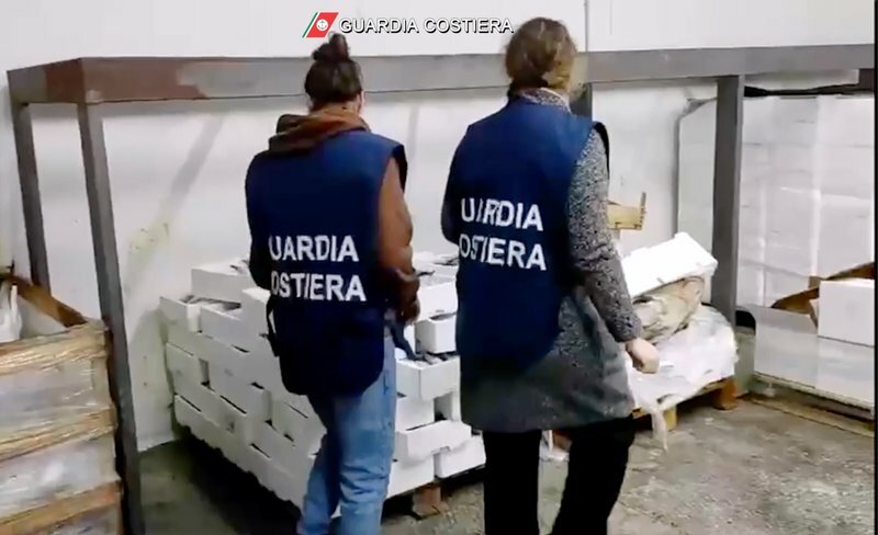 Sequestrate 22 tonnellate di pesce non tracciato