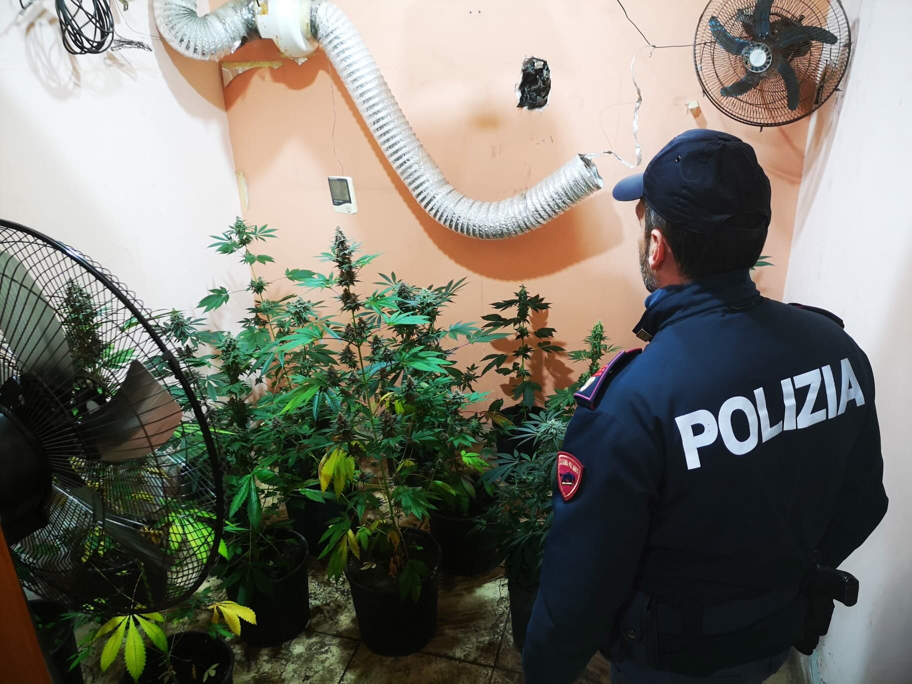 una-serra-in-casa-per-la-coltivazione-della-marijuana-61enne-di-adrano-arrestato-dalla-polizia-di-stato-1.jpeg