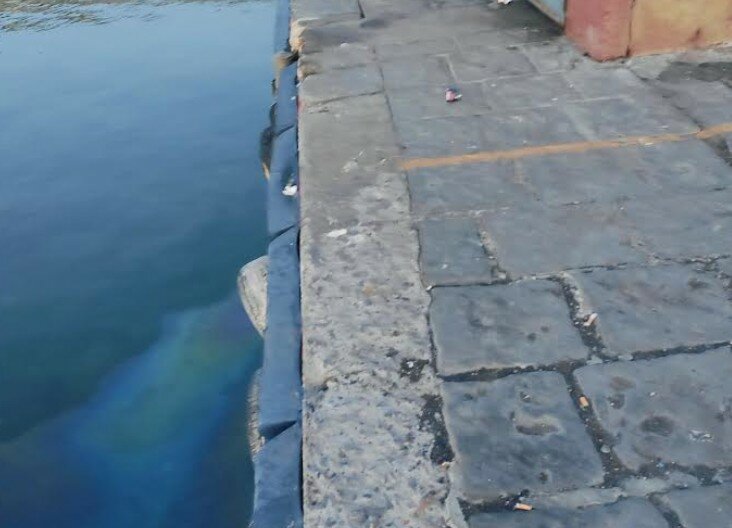 Allarme ambientale a Ognina: 