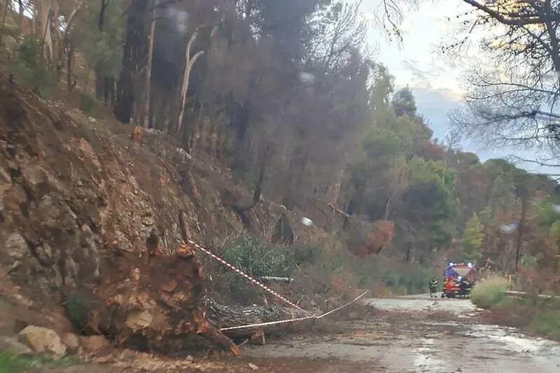 Maltempo, frane e alberi caduti nel Palermitano