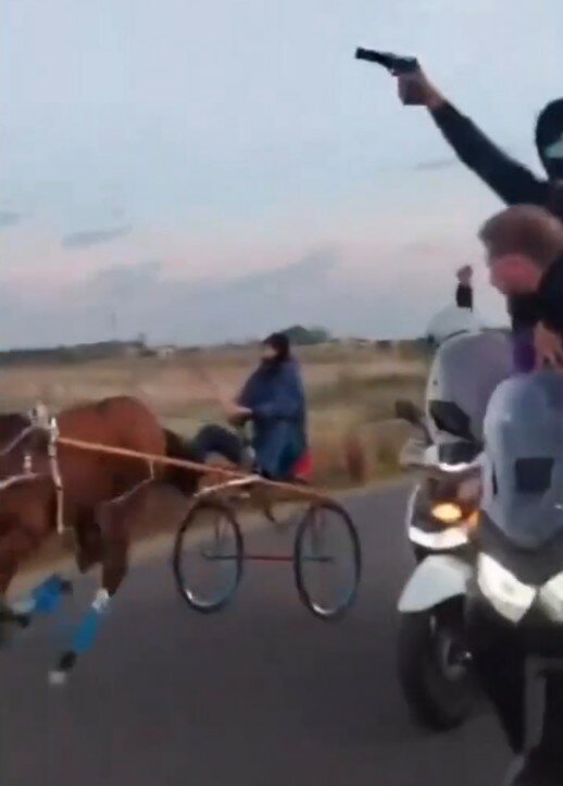 Corsa clandestina di cavalli con pistole in mano: arrivano le denunce Corsa clandestina di cavalli con pistole in mano: arrivano le denunce