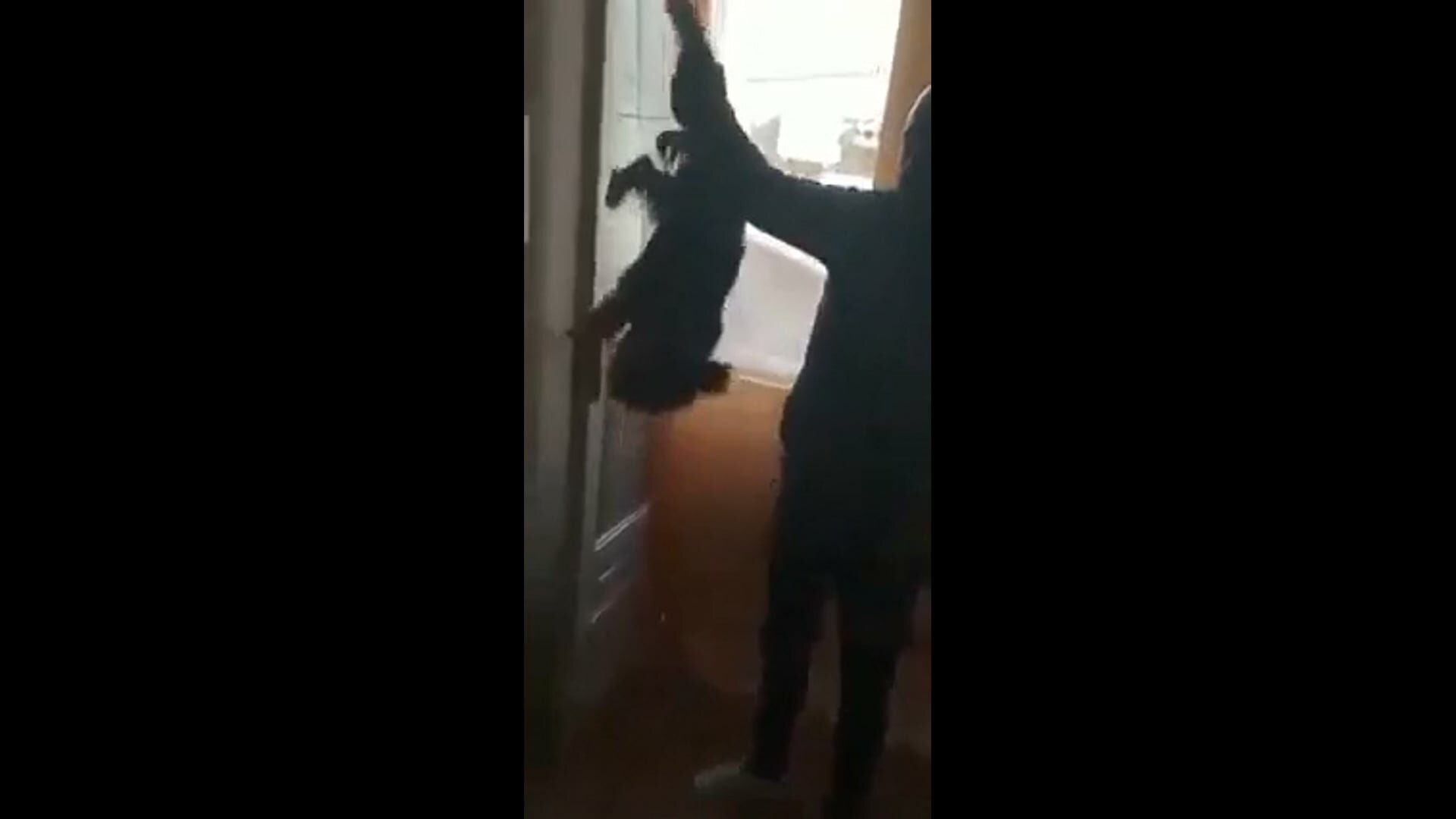 Picchia il cagnolino e pubblica il video