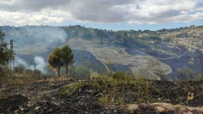 Forestali senza stipendio, appello al prefetto