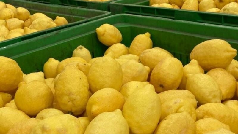 Sequestrati 1.800 chili di limoni e loti al mercato