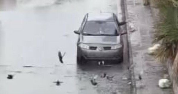 In un mese multati 170 zozzoni catanesi